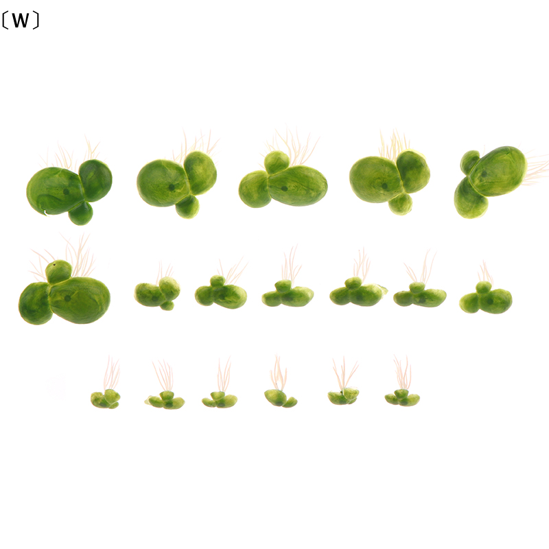 maveraW Organi18pcs/set acuari - Aquarium Plants Live reseña y precio