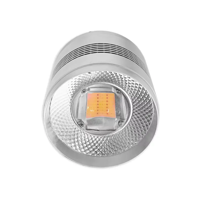 Lámpara LED Novatech Global de - Planted Aquarium Algae Control reseña y precio