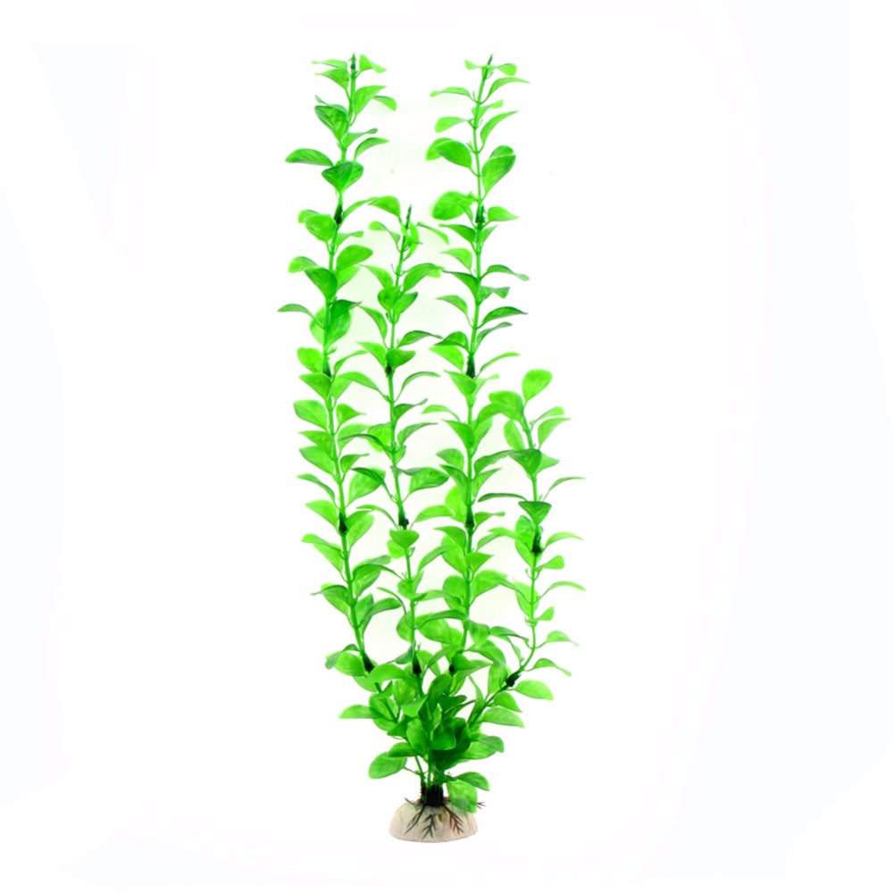 Adorno Accesorios para acuario - Aquarium Plants Live reseña y precio