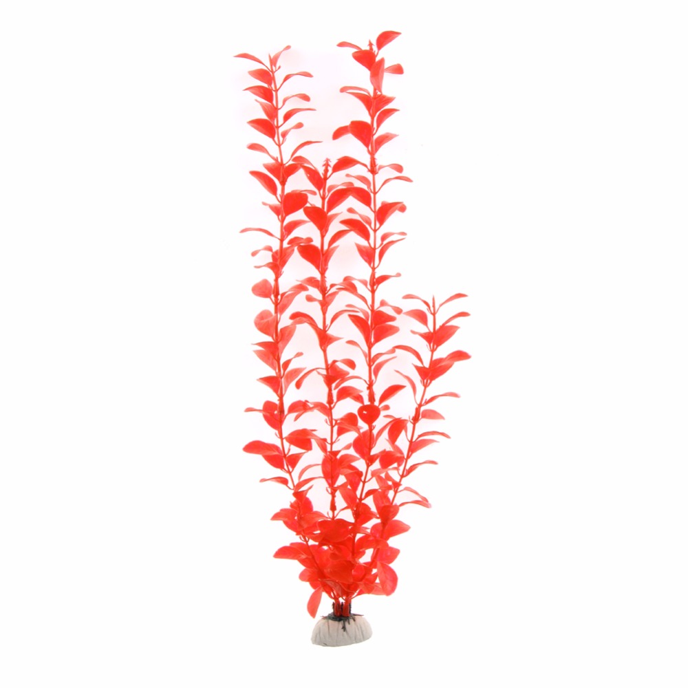 Adorno Accesorios para acuario - Aquarium Plants Live reseña y precio