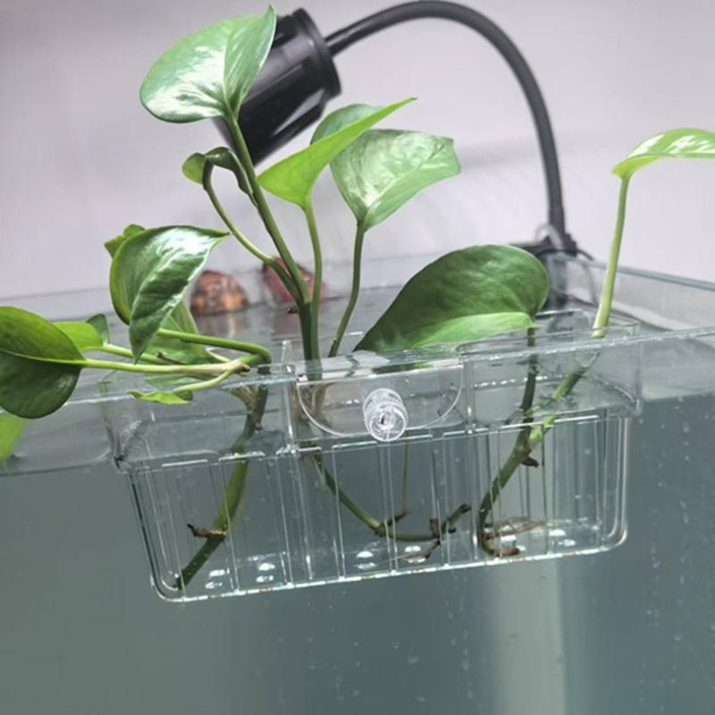 Cesta para Plantas Hidropónica - Planted Tank reseña y precio