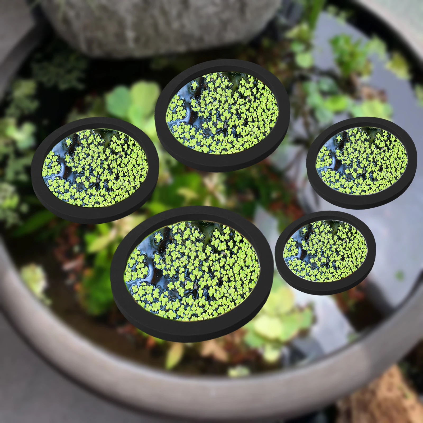 5 uds EVA anillo de alimentaci - Planted Tank reseña y precio