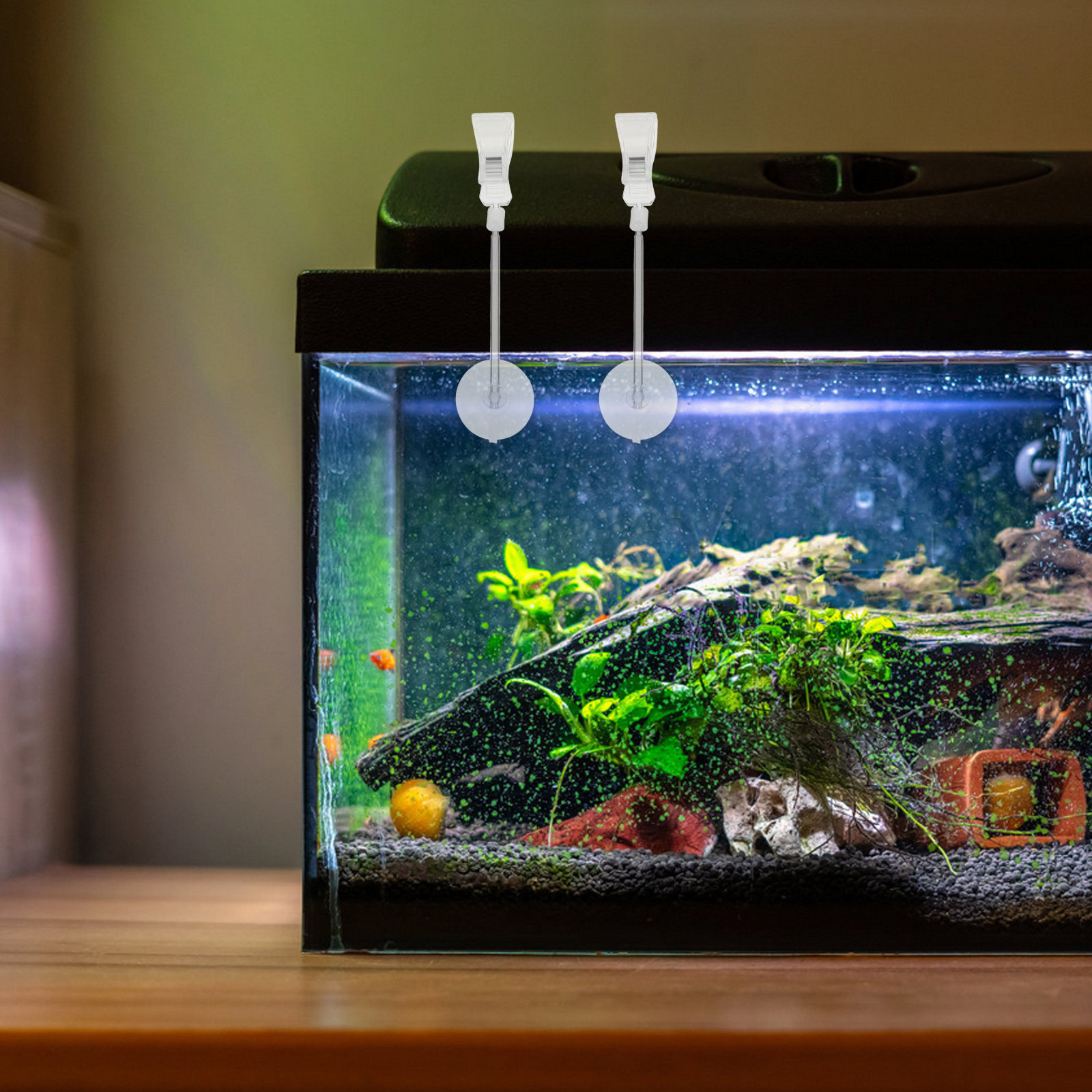 3 piezas: soporte para manguer - Aquarium Plant Holder reseña y precio