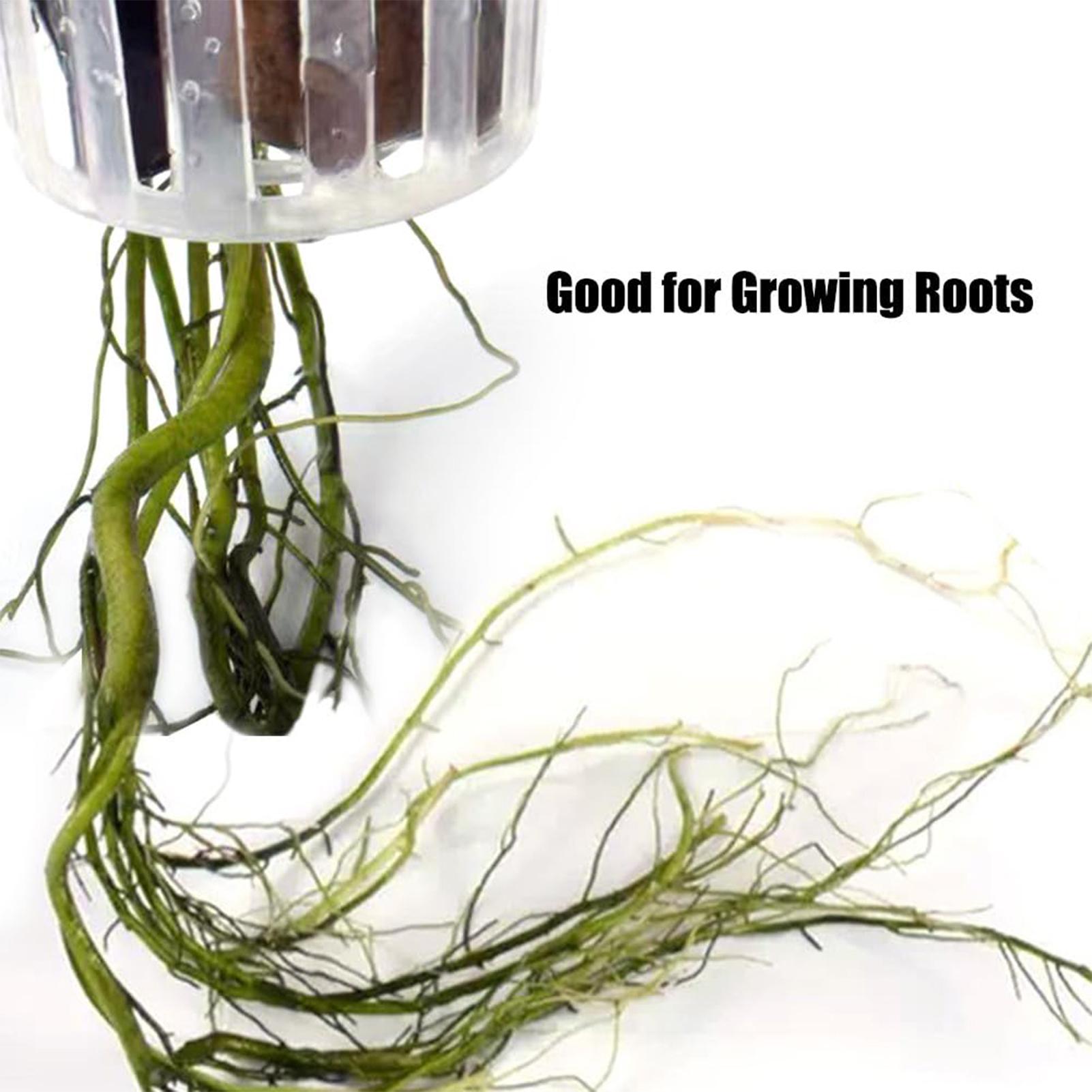 2 unidades de soporte para pla - Plant Aquarium Pot reseña y precio
