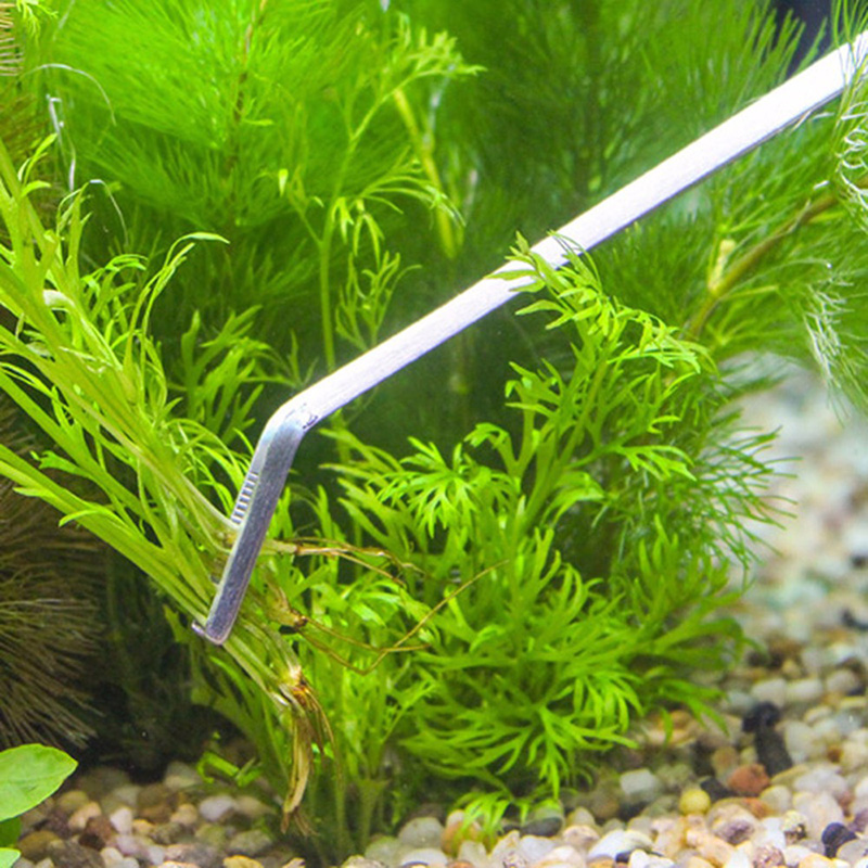 Kit de herramientas profesiona - Aquarium Plants Live reseña y precio
