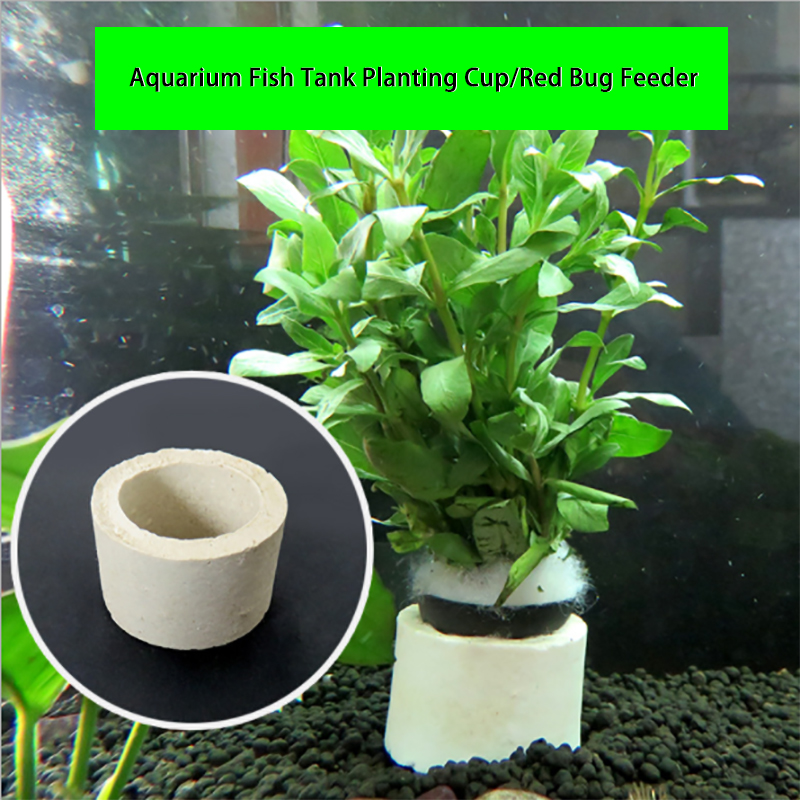 Anillo de cerámica para decora - Plant Aquarium Pot reseña y precio