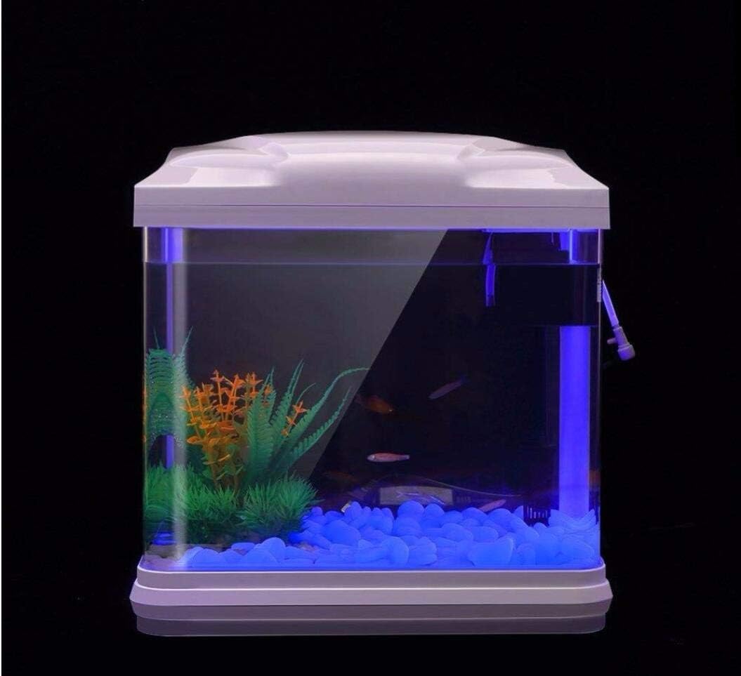 Rocas para pecera, guijarros a - Aquarium Moss reseña y precio