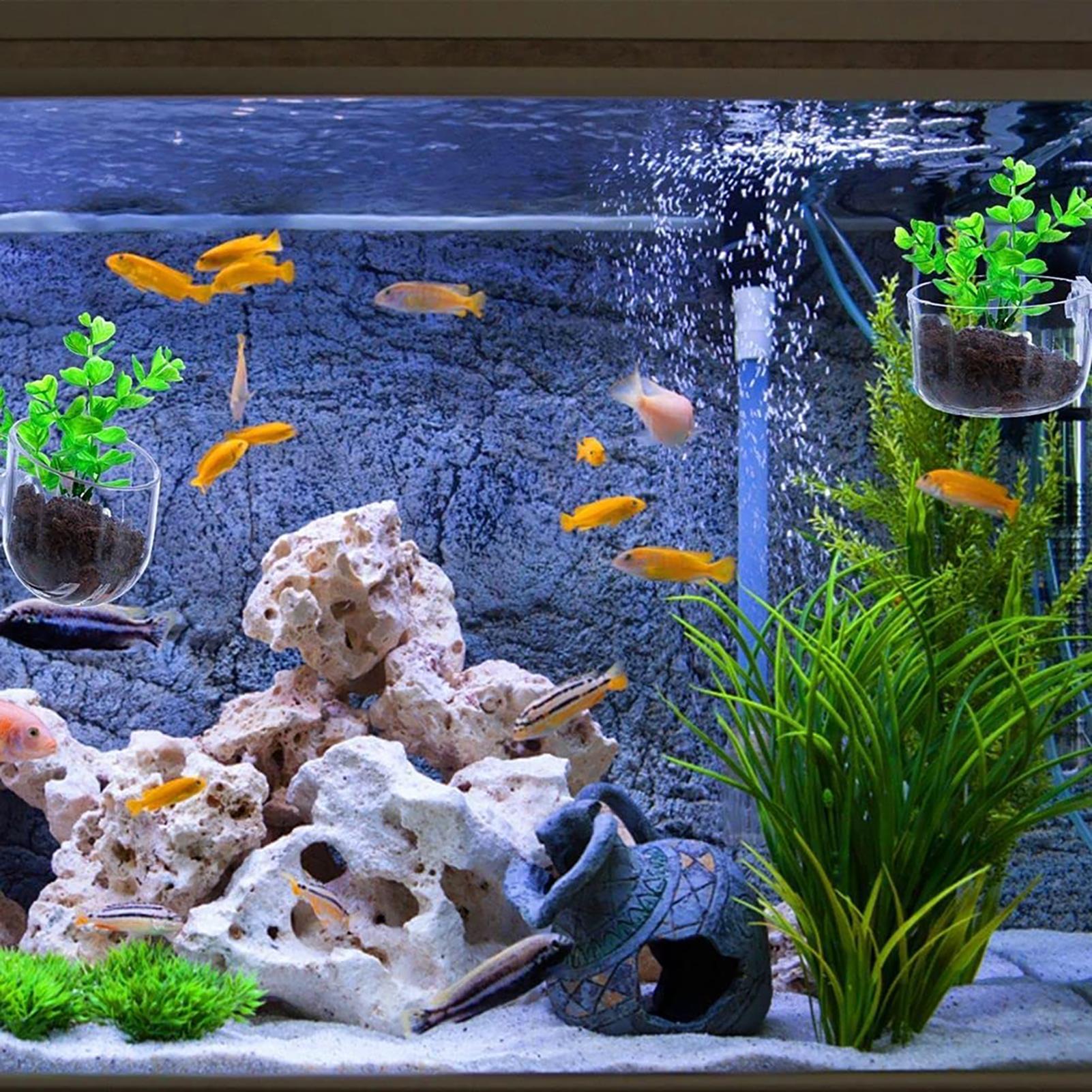 Maceta para plantas acuáticas, - Plant Aquarium Pot reseña y precio