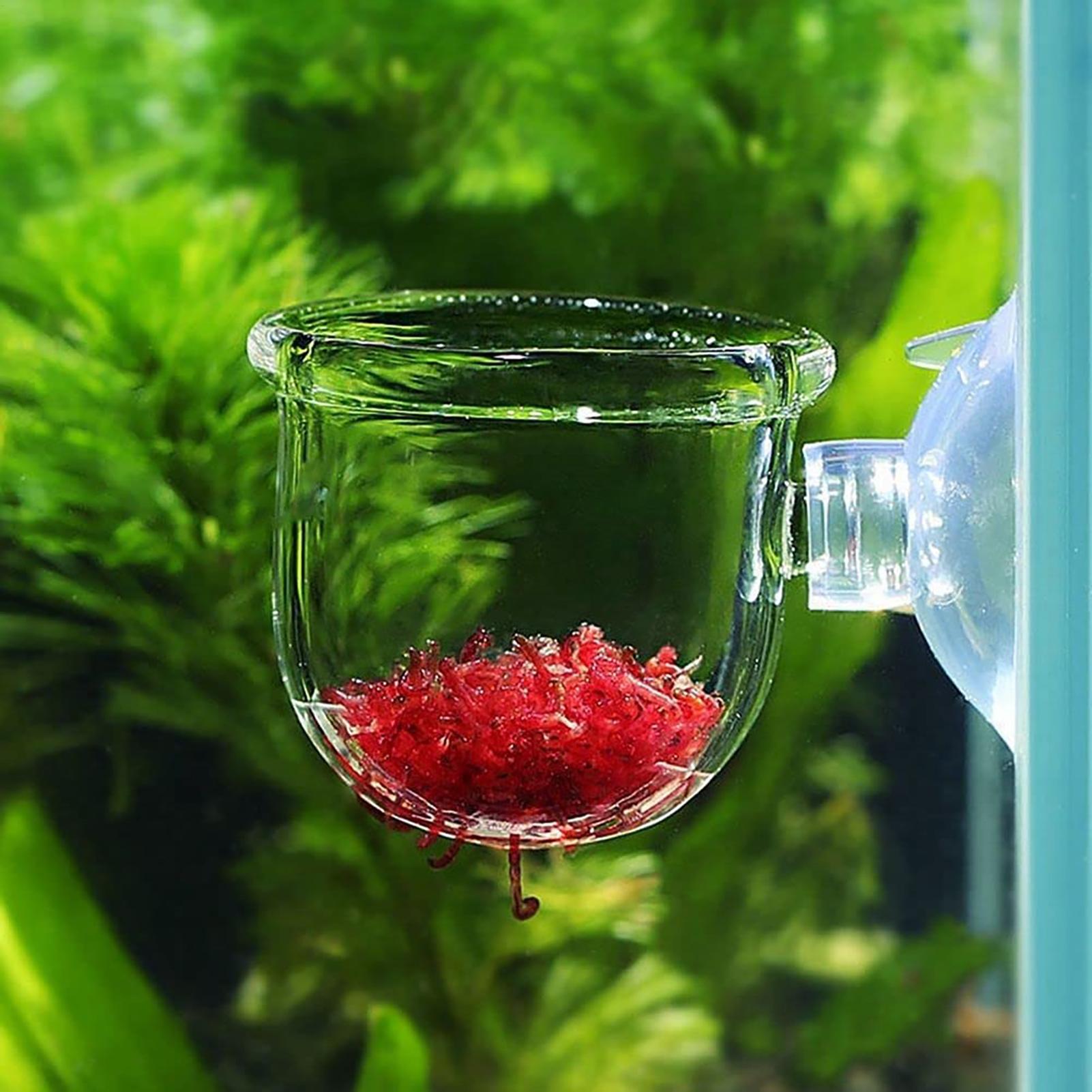 Maceta para plantas acuáticas, - Plant Aquarium Pot reseña y precio