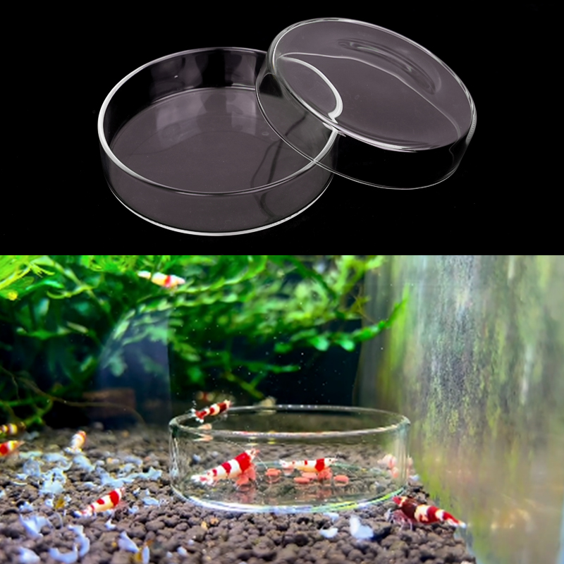 Plato de alimentación de camar - Aquarium Fertilizer reseña y precio
