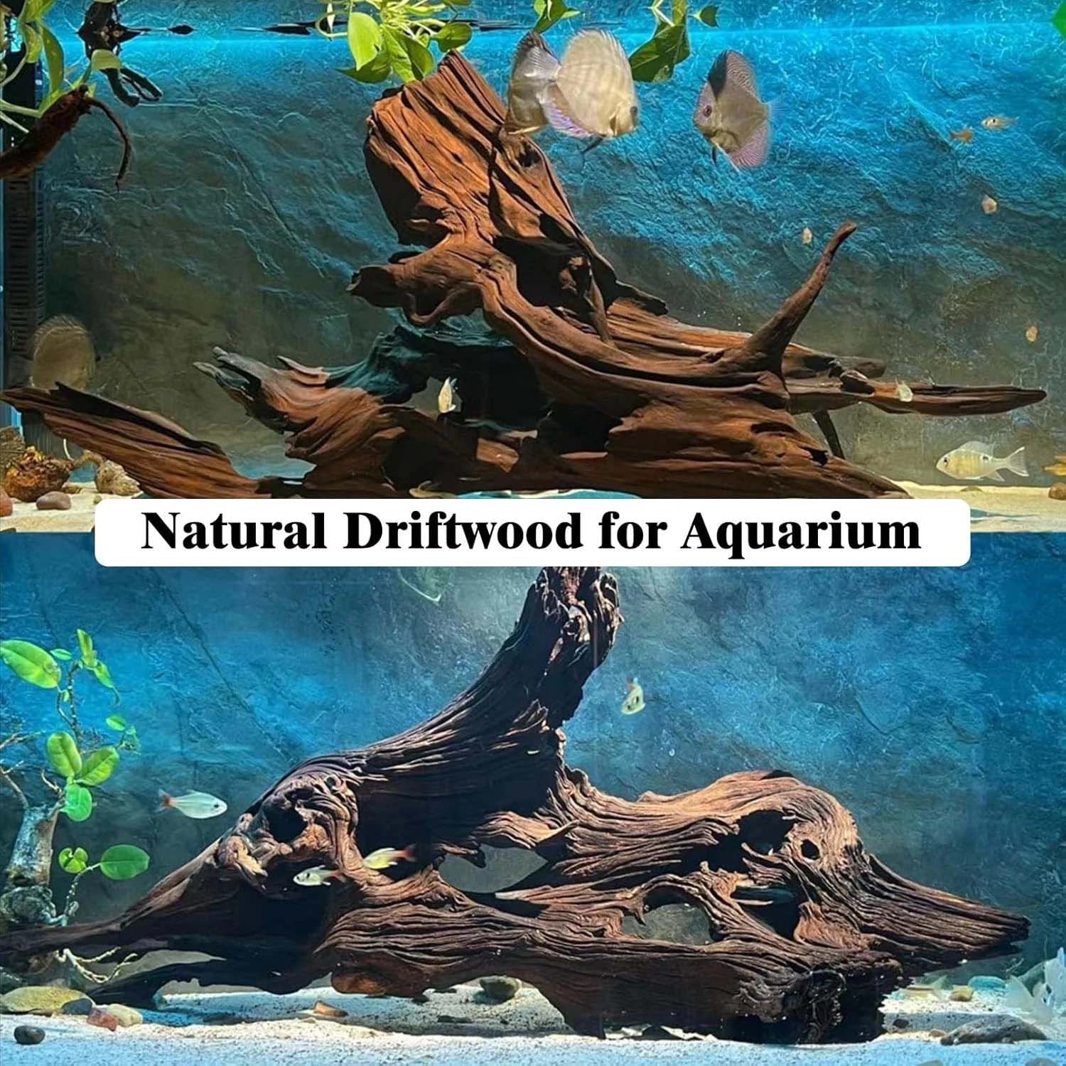 15-20CM 1 Pieza de Madera Natu - Aquarium Plant Substrate reseña y precio