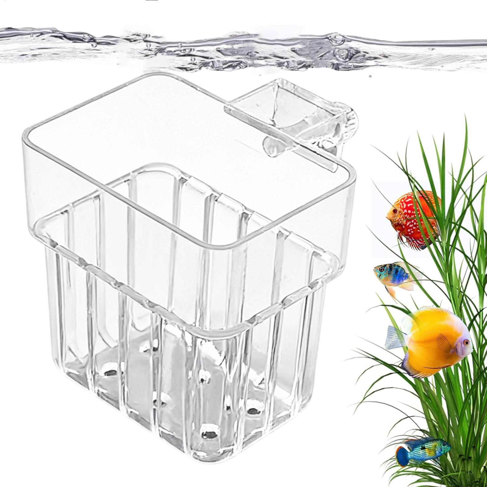 Soporte Transparente para Plan - Plant Aquarium Pot reseña y precio