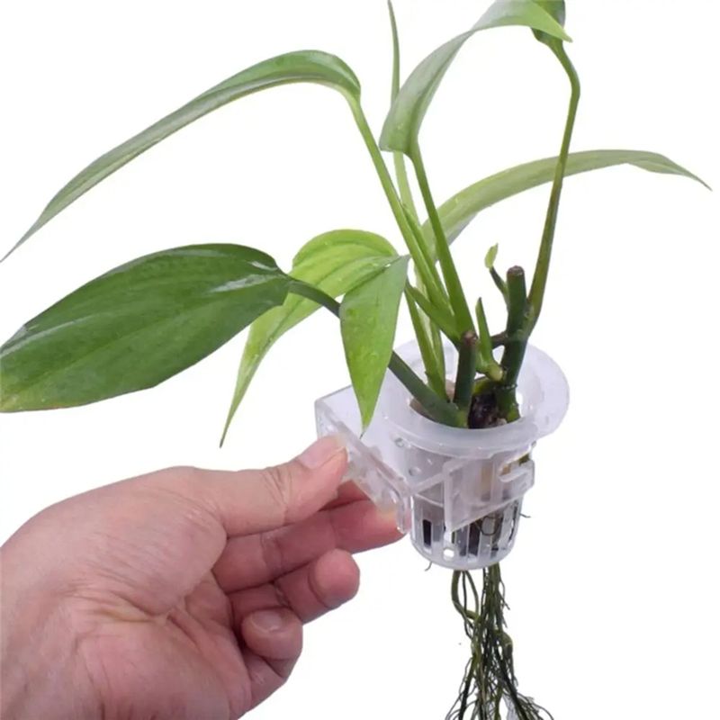 A7THK-2 piezas, soporte transp - Aquarium Plant Holder reseña y precio