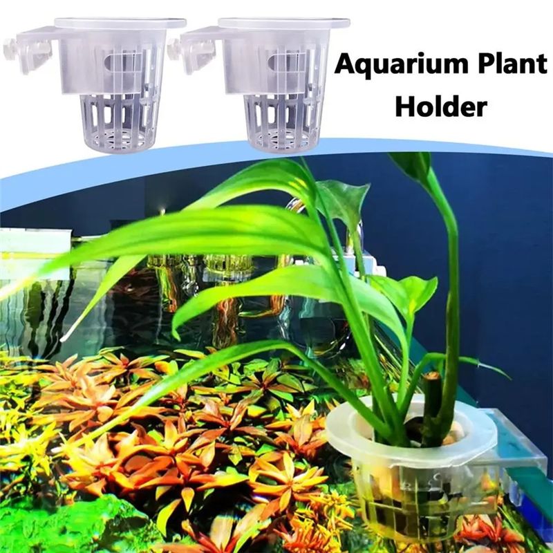 A7THK-2 piezas, soporte transp - Aquarium Plant Holder reseña y precio