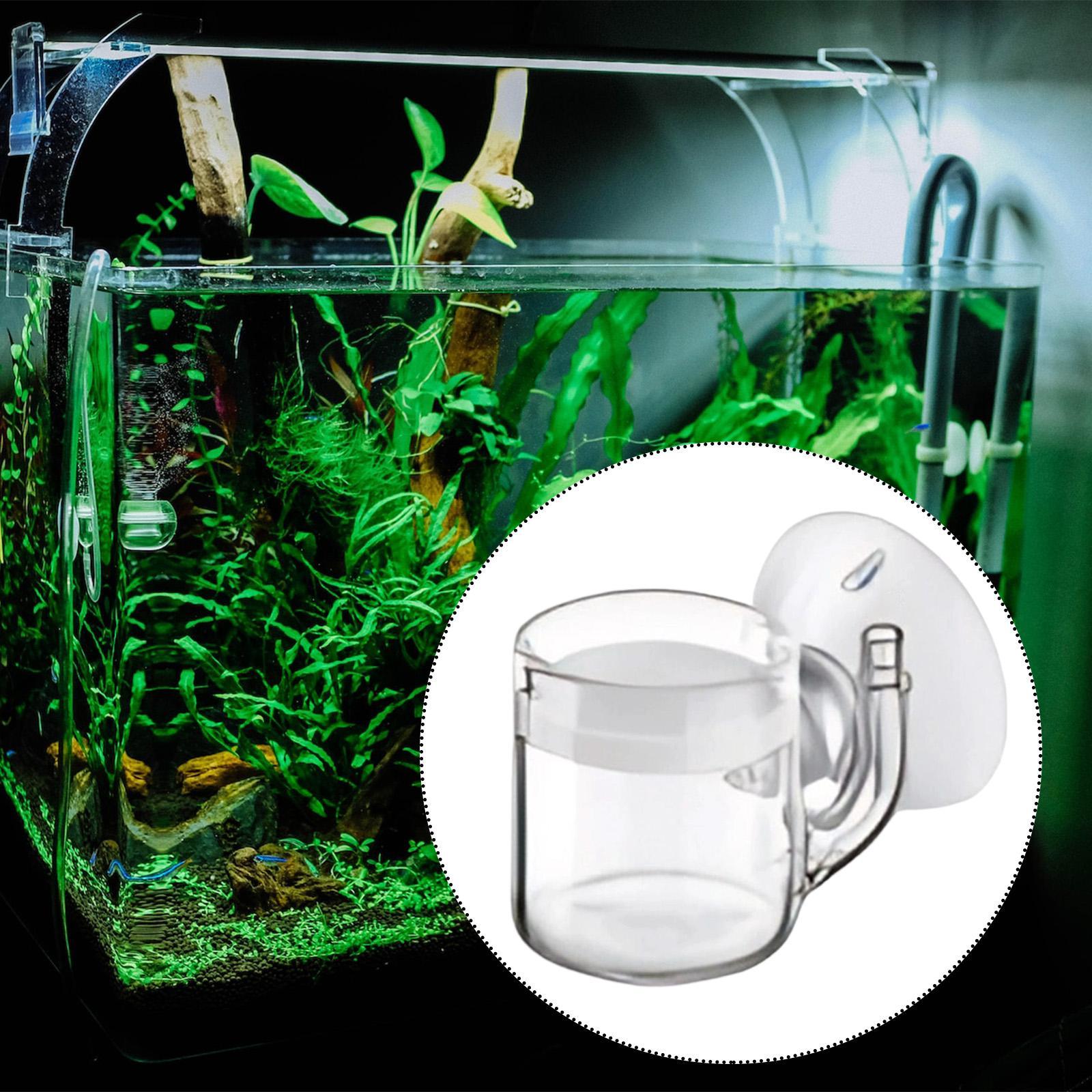 Difusor de CO2 de Fondo Plano, - Planted Aquarium Cleaning reseña y precio