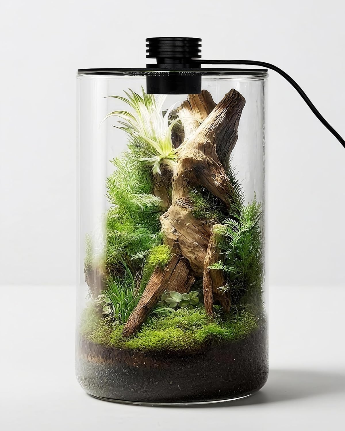 Terrario de Vidrio para Interi - Planted Tank reseña y precio