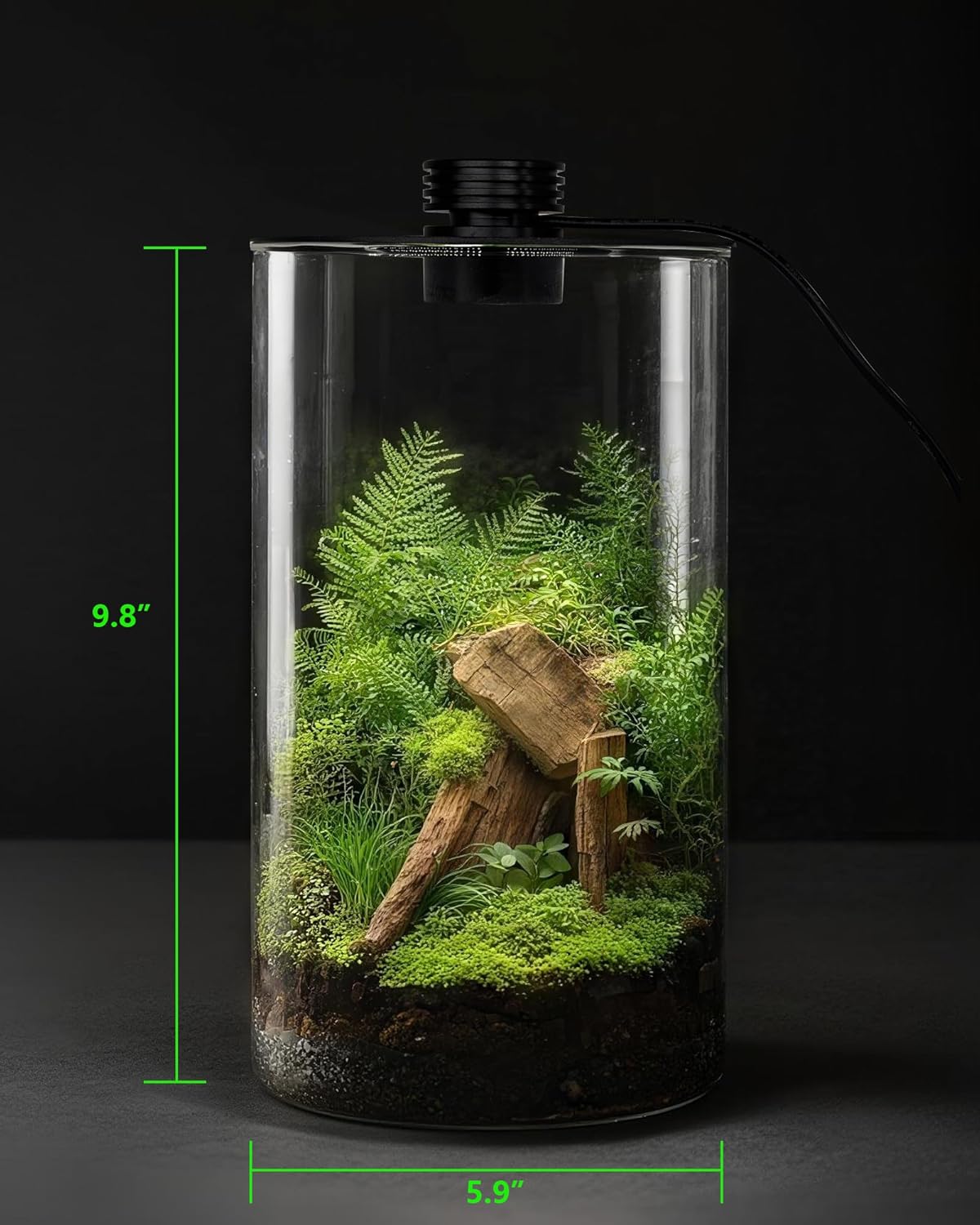 Terrario de Vidrio para Interi - Planted Tank reseña y precio