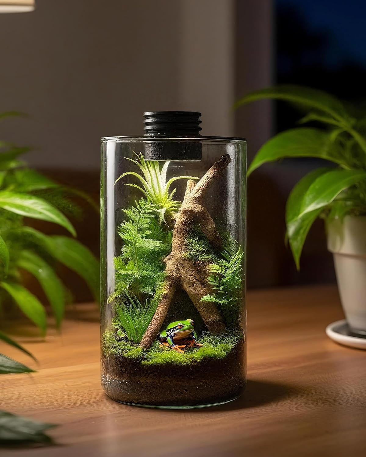 Terrario de Vidrio para Interi - Planted Tank reseña y precio