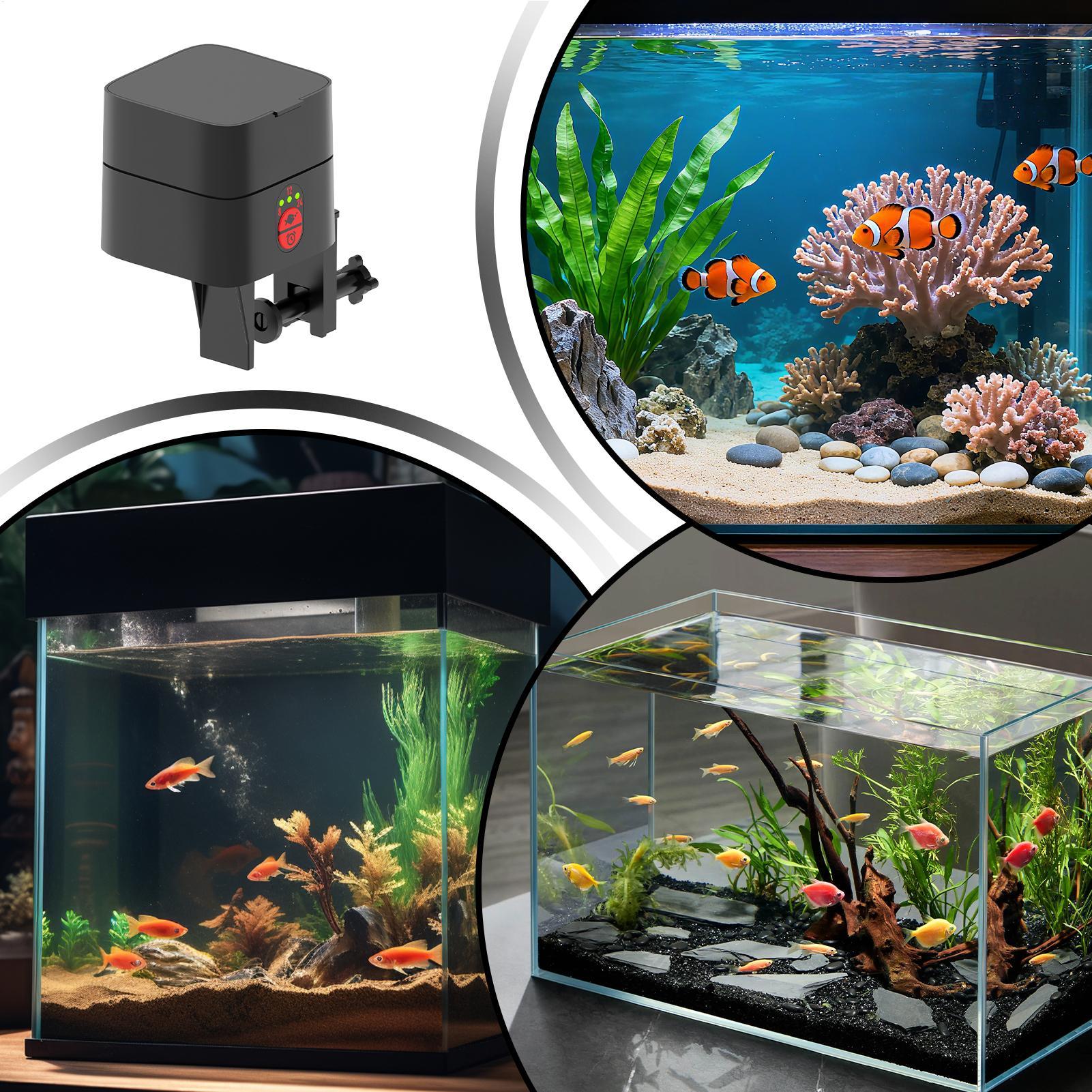 Alimentador automático de pece - Aquarium Fertilizer reseña y precio