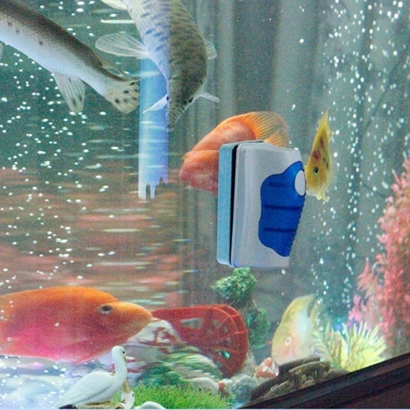Limpiador de Vidrio para Pecer - Planted Aquarium Cleaning reseña y precio