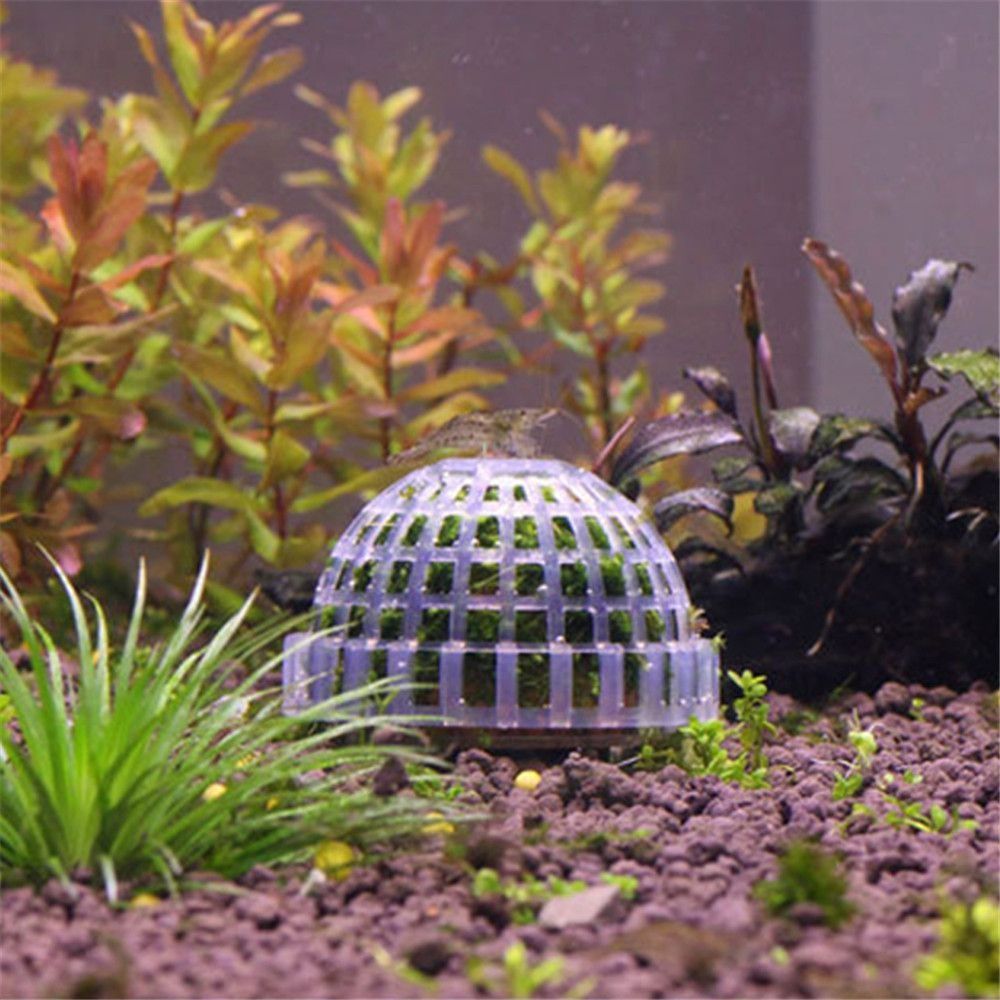 Nueva suspensión de plástico,  - Aquarium Plants Live reseña y precio