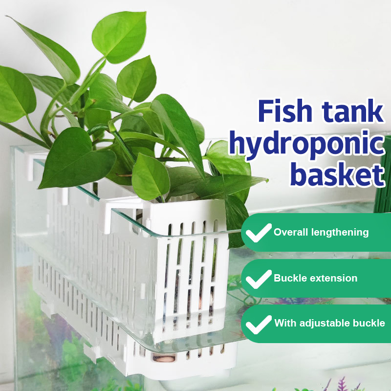 【F】Maceta colgante para acuari - Aquarium Plant Holder reseña y precio