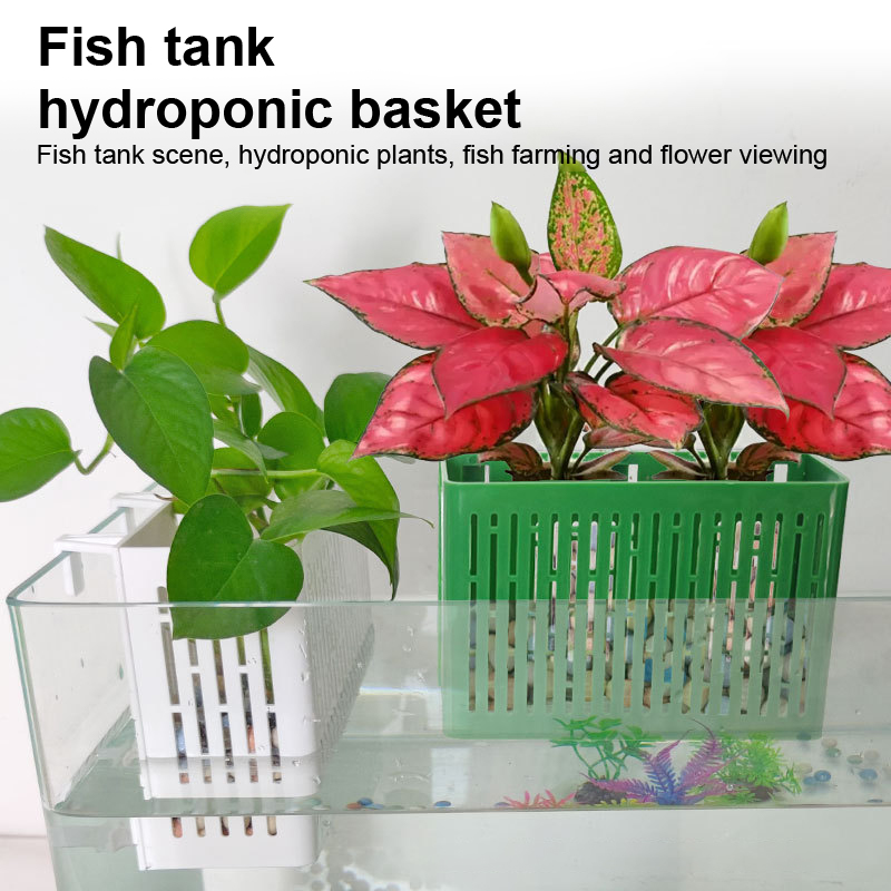【F】Maceta colgante para acuari - Aquarium Plant Holder reseña y precio