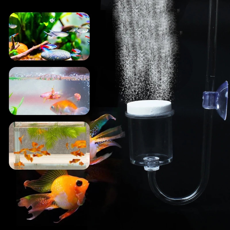 Juego de 4 piezas de difusor d - Aquarium Moss reseña y precio