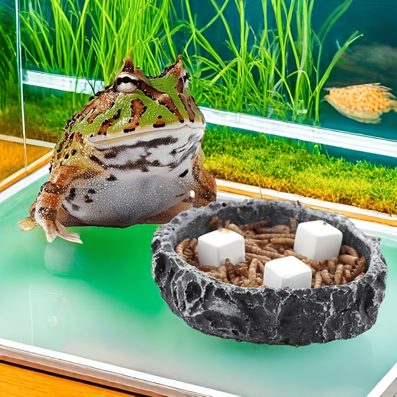 6 unidades de bloques de calci - Aquarium Plants Live reseña y precio